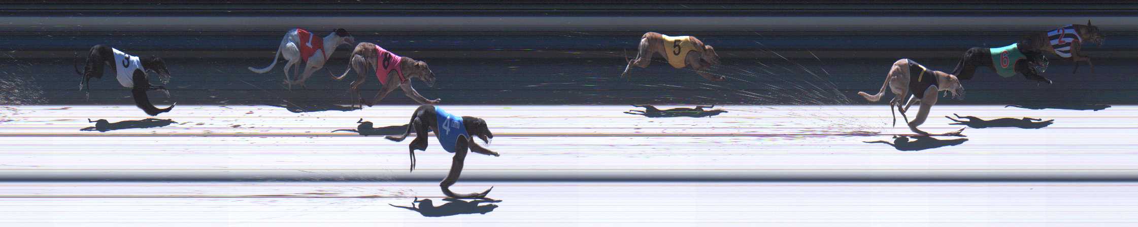 Photo finish for Sale Race 4