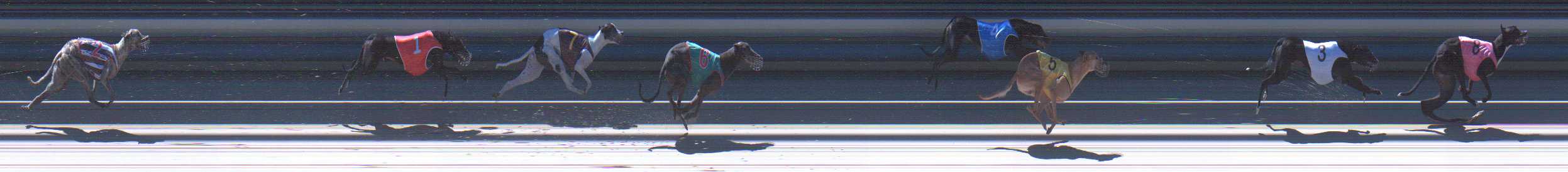 Photo finish for Sale Race 5