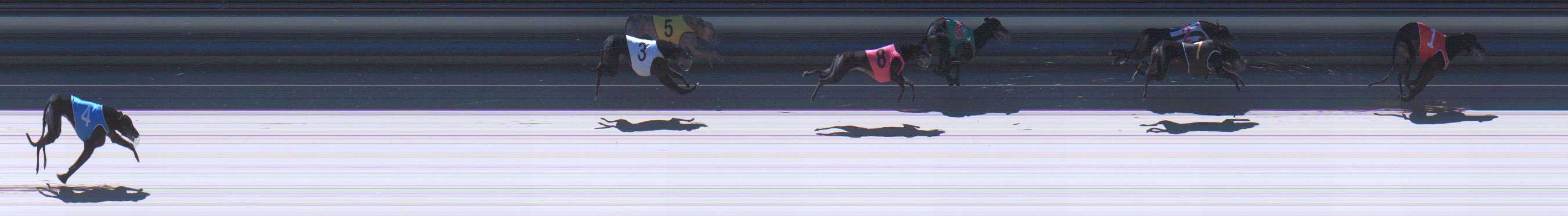 Photo finish for Sale Race 6