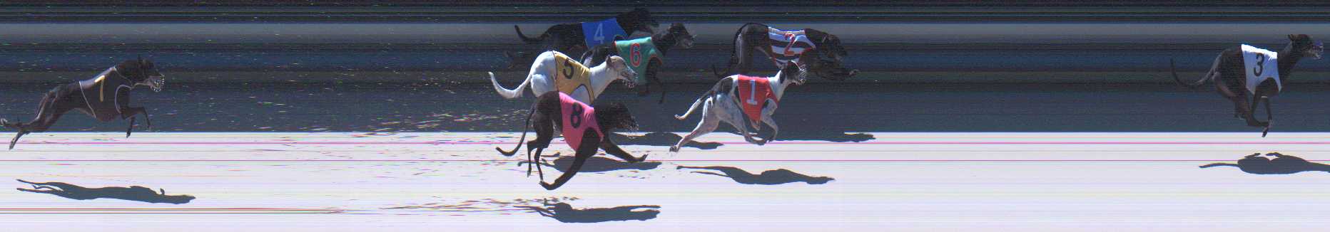 Photo finish for Sale Race 7