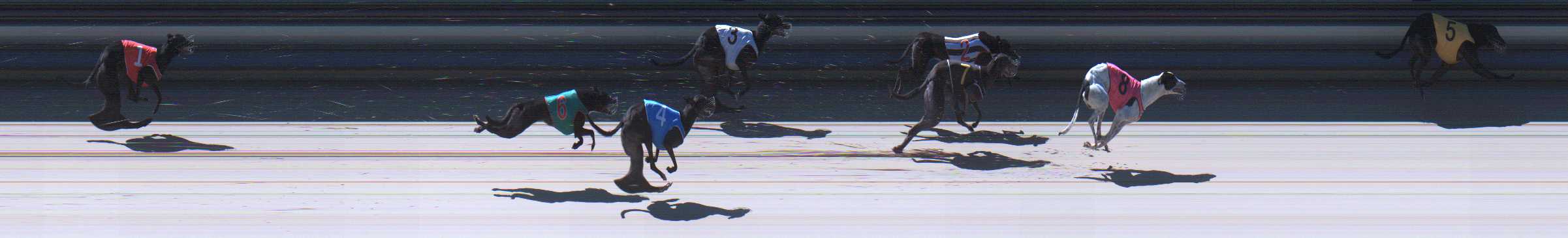 Photo finish for Sale Race 8