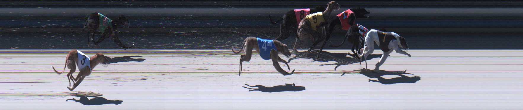 Photo finish for Sale Race 9