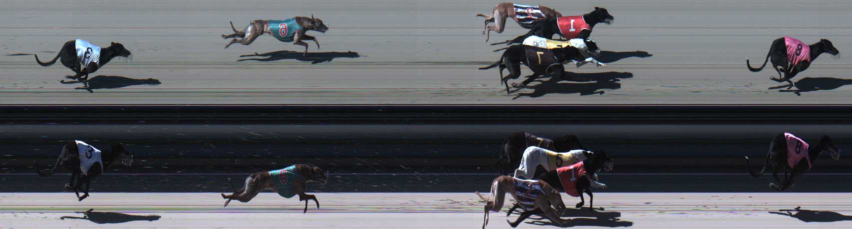 Photo finish for Sale Race 10