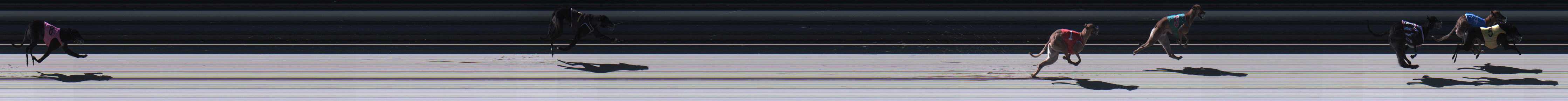 Photo finish for Sale Race 12