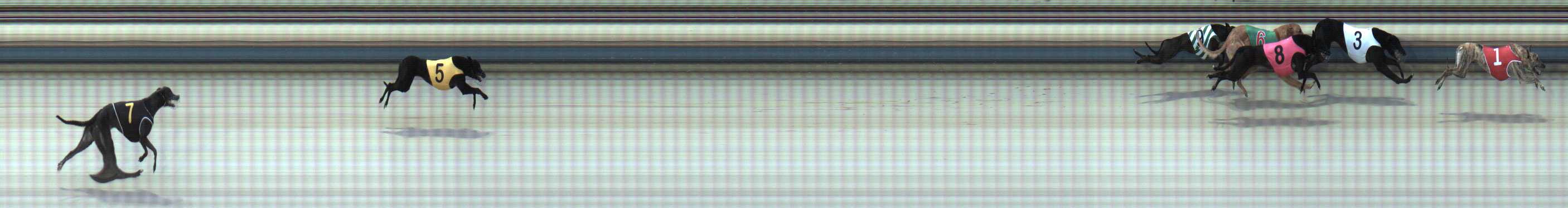Photo finish for Sale Race 1