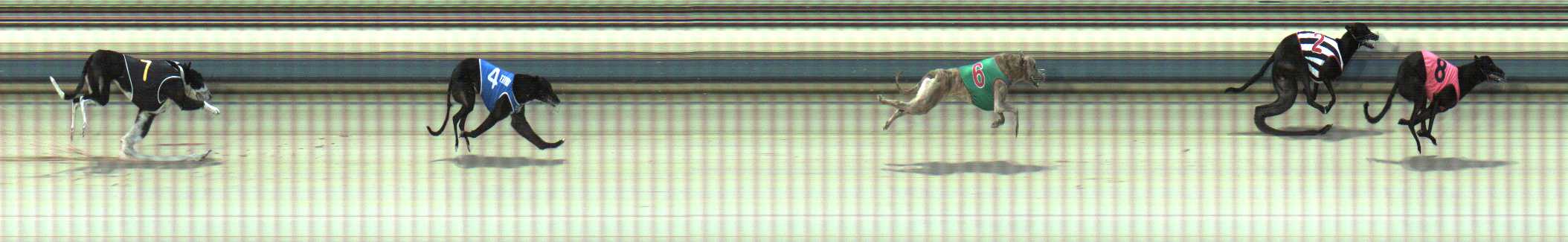 Photo finish for Sale Race 2