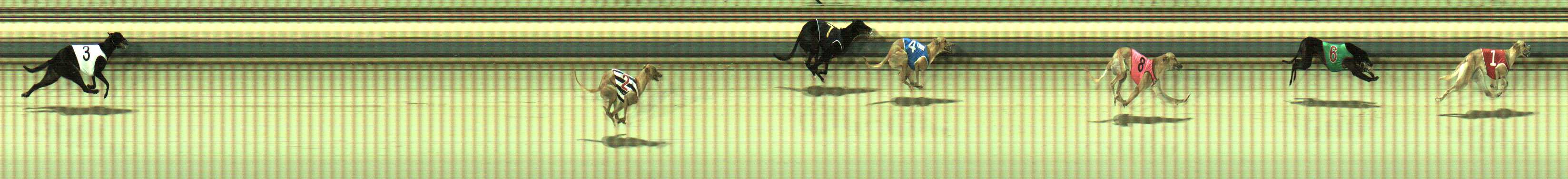 Photo finish for Sale Race 3