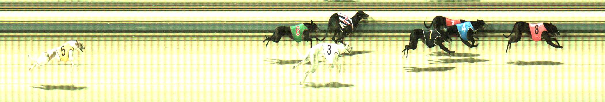 Photo finish for Sale Race 7
