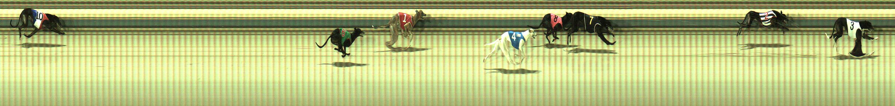 Photo finish for Sale Race 11