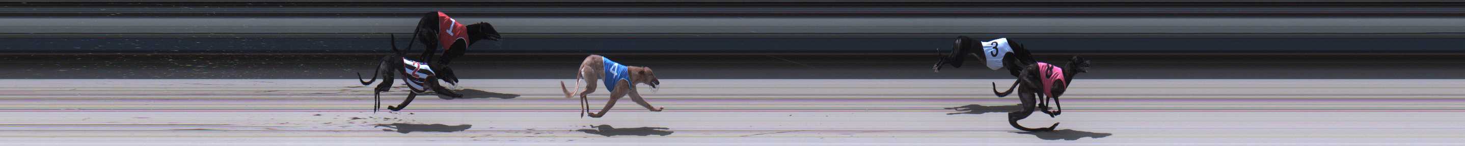Race result finish photo