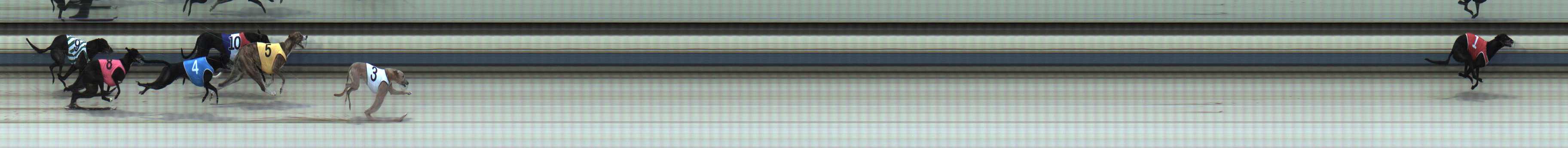 Photo finish for Sale Race 1
