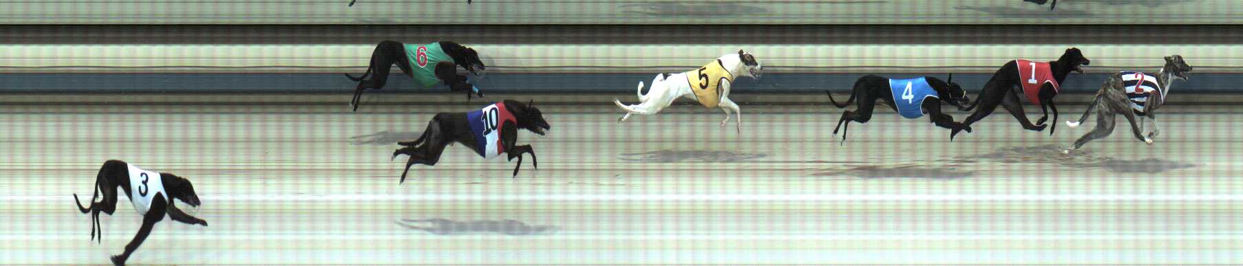 Photo finish for Sale Race 2