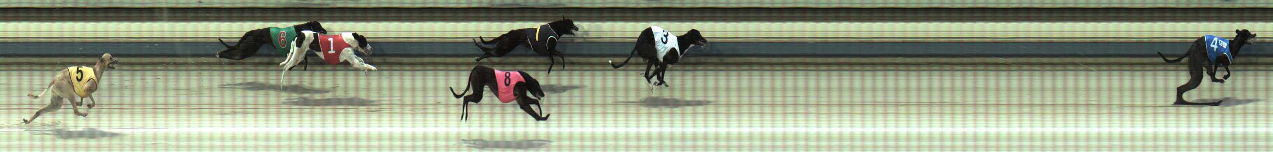 Photo finish for Sale Race 3