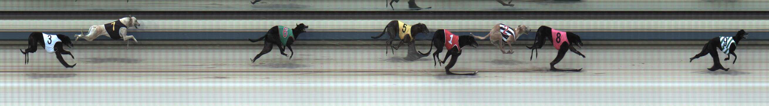 Photo finish for Sale Race 4