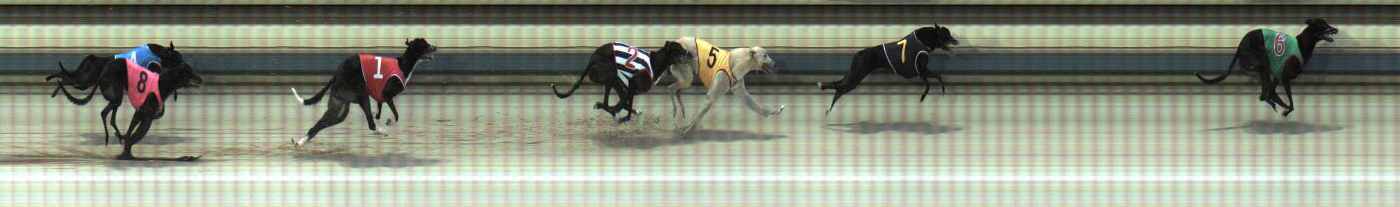 Photo finish for Sale Race 5