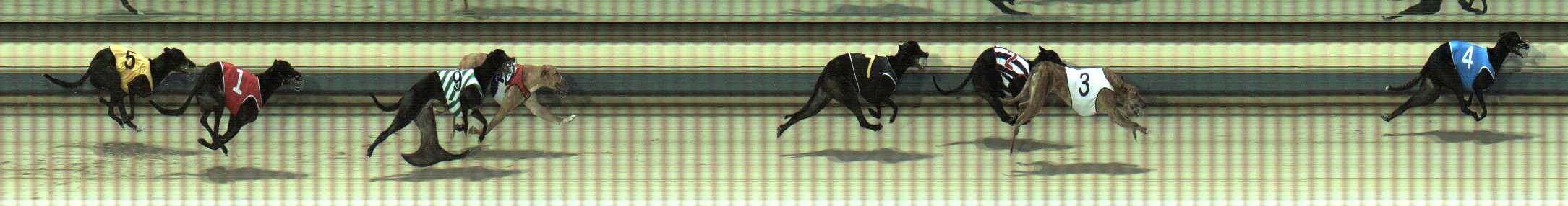 Photo finish for Sale Race 6