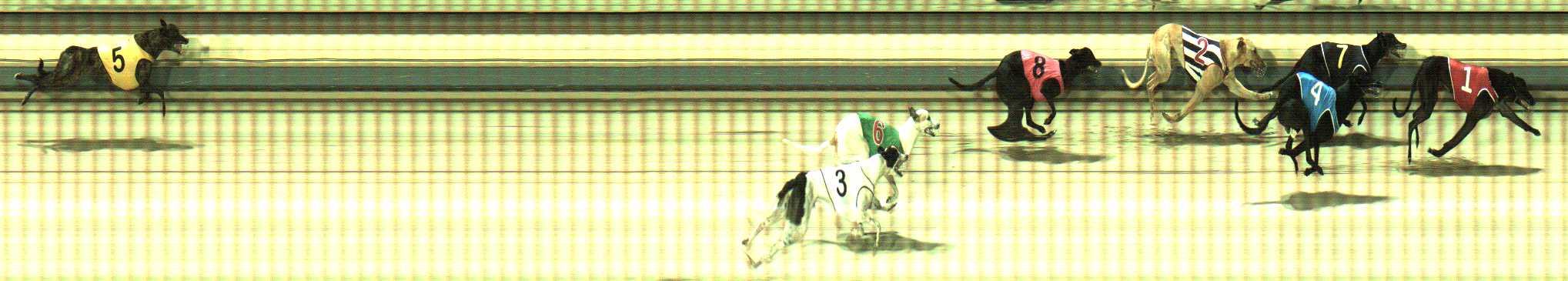 Photo finish for Sale Race 7