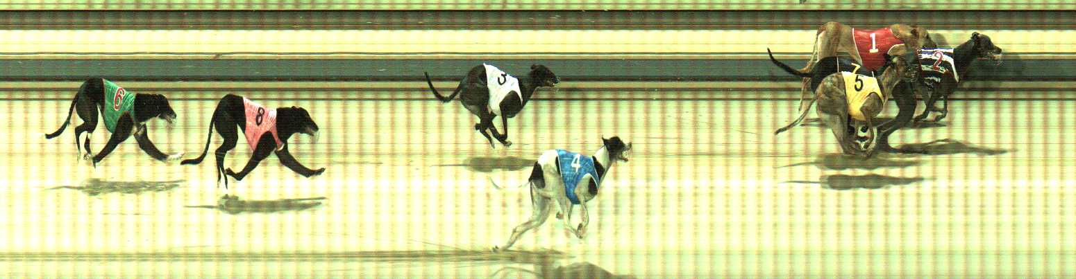 Photo finish for Sale Race 8