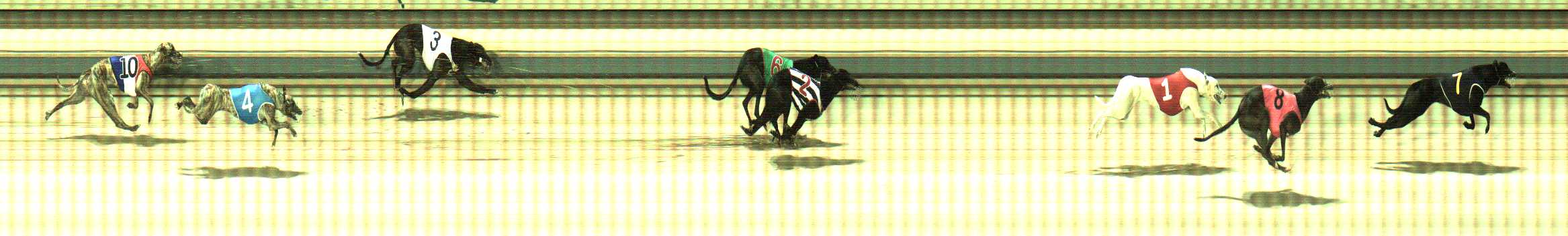 Photo finish for Sale Race 9