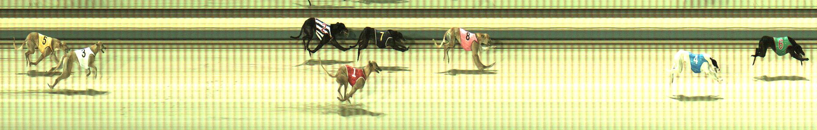 Photo finish for Sale Race 11