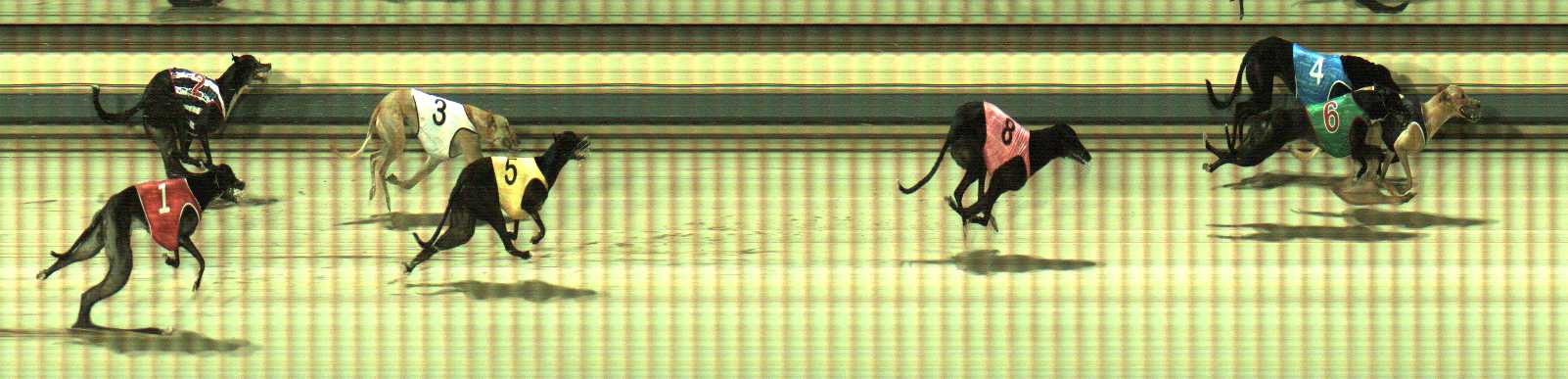 Photo finish for Sale Race 12