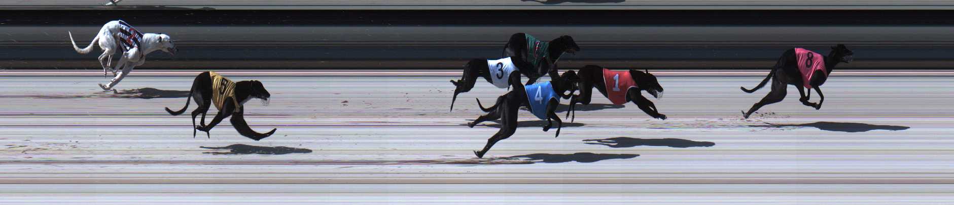 Photo finish for Sale Race 2