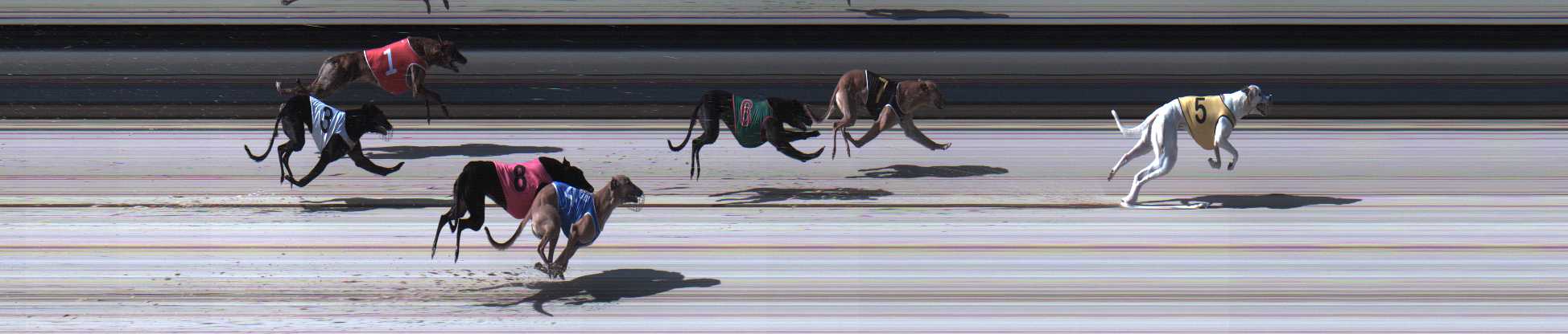 Photo finish for Sale Race 3
