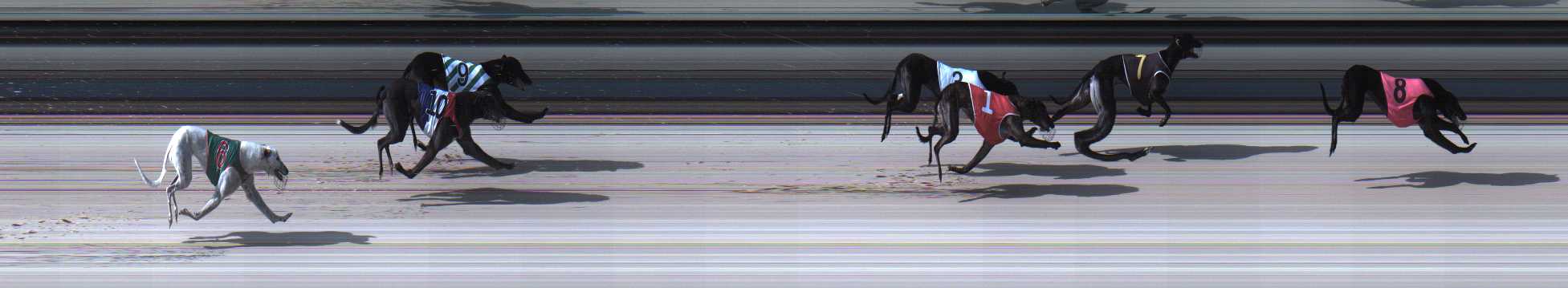Photo finish for Sale Race 4