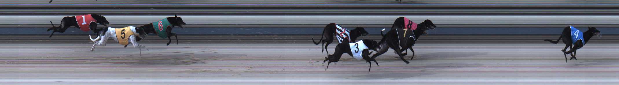 Photo finish for Sale Race 6