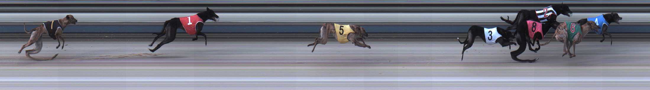 Photo finish for Sale Race 7
