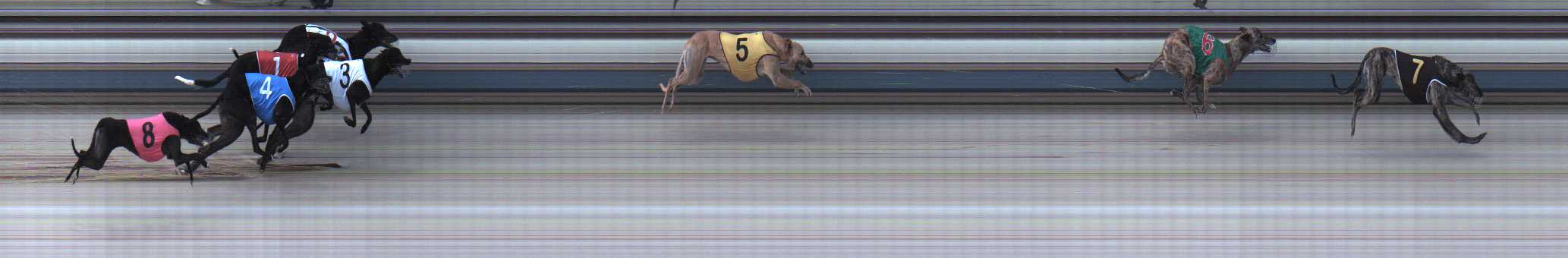 Photo finish for Sale Race 8