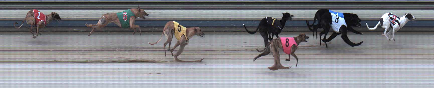 Photo finish for Sale Race 9