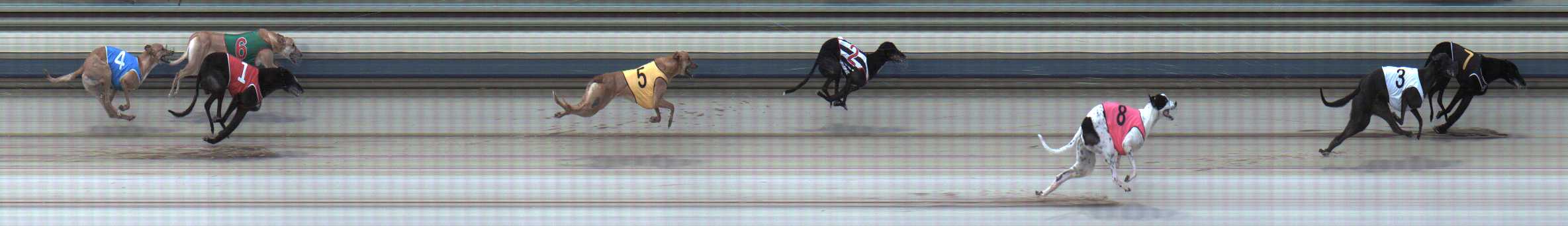 Photo finish for Sale Race 10