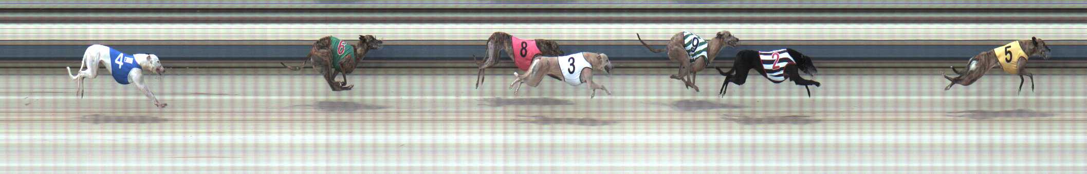 Photo finish for Sale Race 11