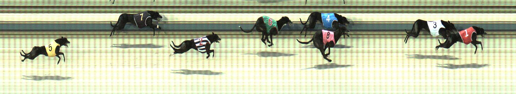 Photo finish for Sale Race 12