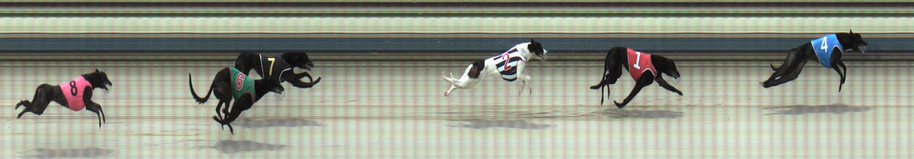 Photo finish for Sale Race 2