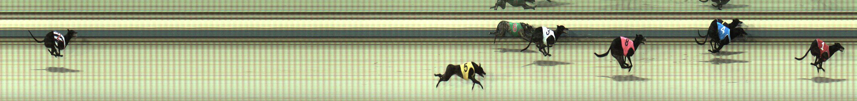 Photo finish for Sale Race 4