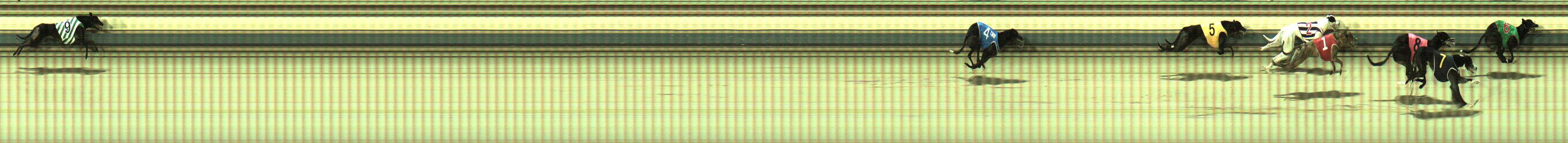 Photo finish for Sale Race 5