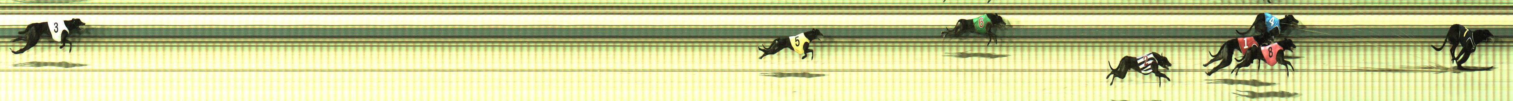 Photo finish for Sale Race 6
