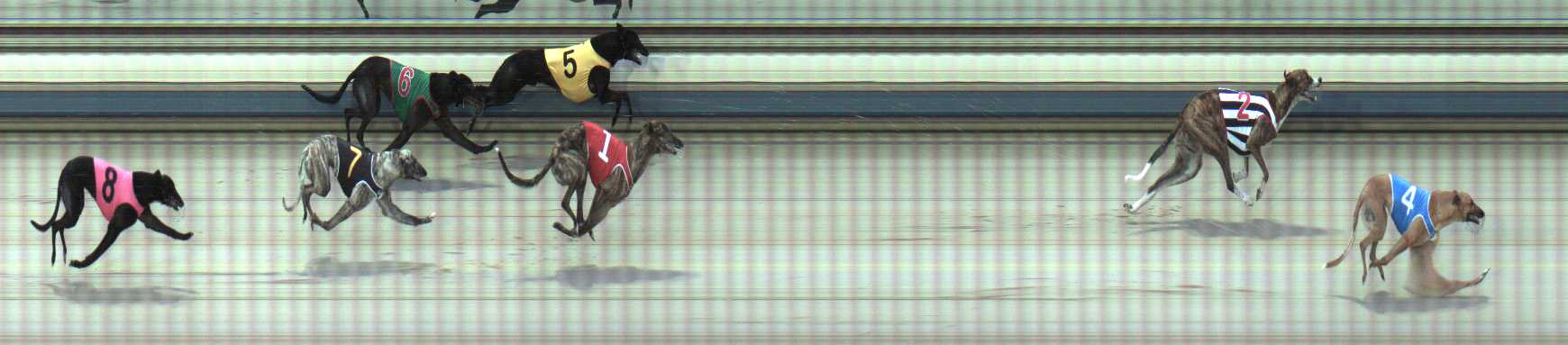 Photo finish for Sale Race 3