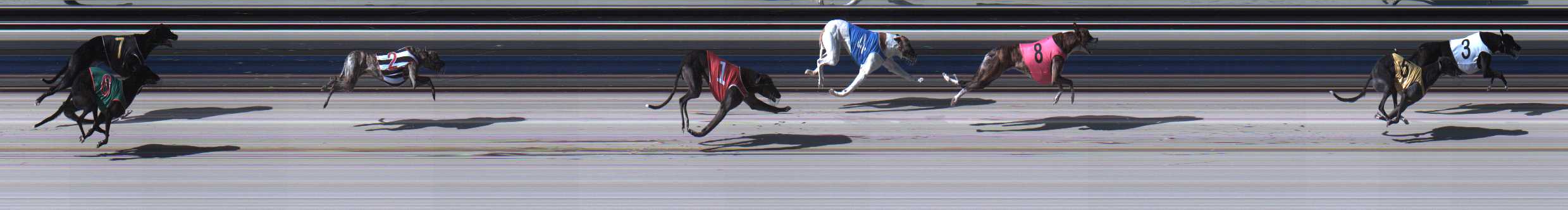 Photo finish for Sale Race 1