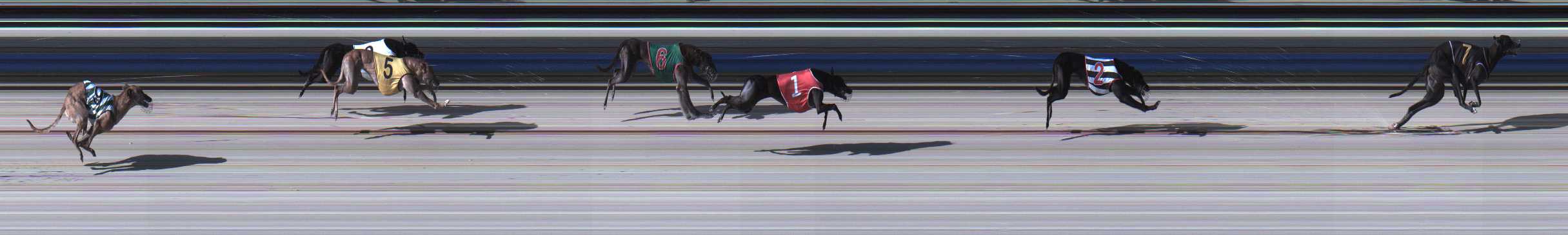 Photo finish for Sale Race 2