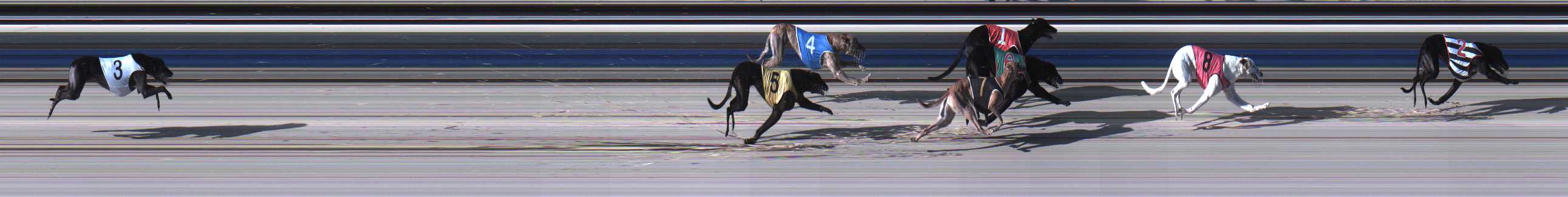 Photo finish for Sale Race 3