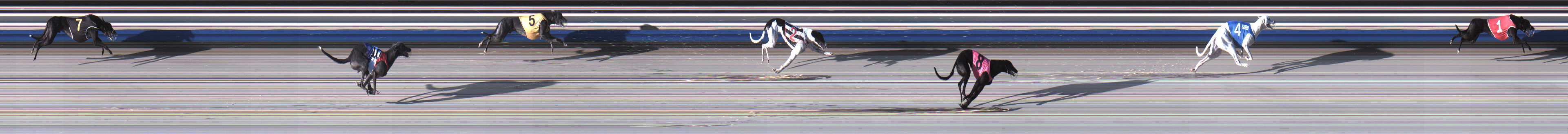 Photo finish for Sale Race 5