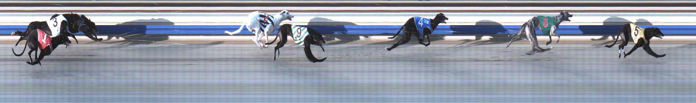 Photo finish for Sale Race 6