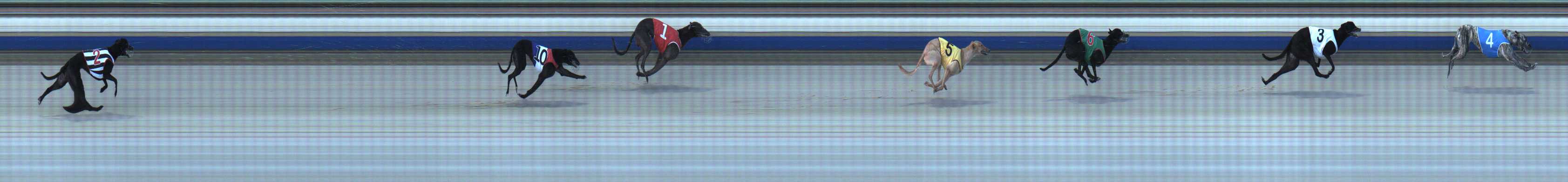 Photo finish for Sale Race 7