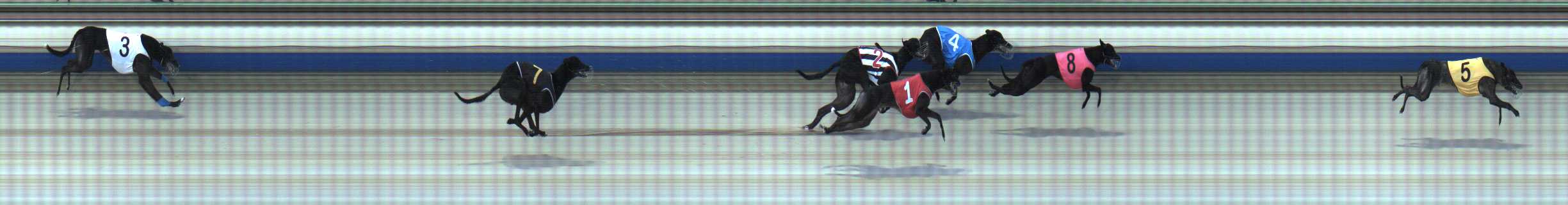 Photo finish for Sale Race 8