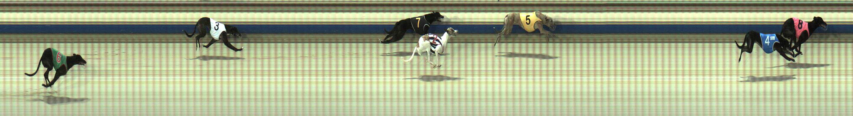 Photo finish for Sale Race 9