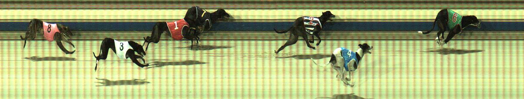 Photo finish for Sale Race 10