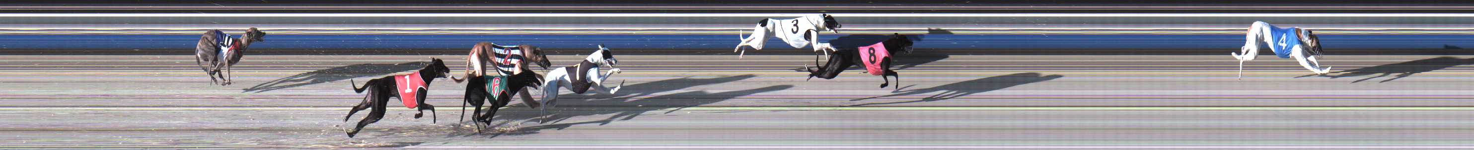Photo finish for Sale Race 2